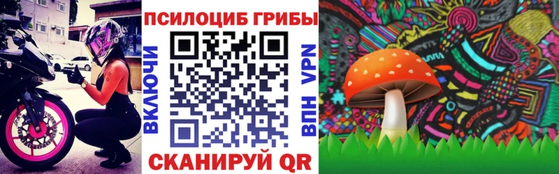 мега маркетплейс Евпатория Псилоцибиновые грибы GOLDEN TEACHER