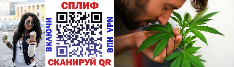 Каннабис OG Kush  как найти   Евпатория 